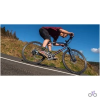 Marin Fairfax 3 2022