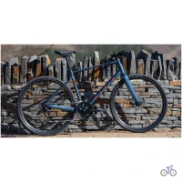 Marin Fairfax 3 2022