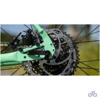 Marin NICASIO + 2024