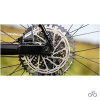 Marin GESTALT XR 2025