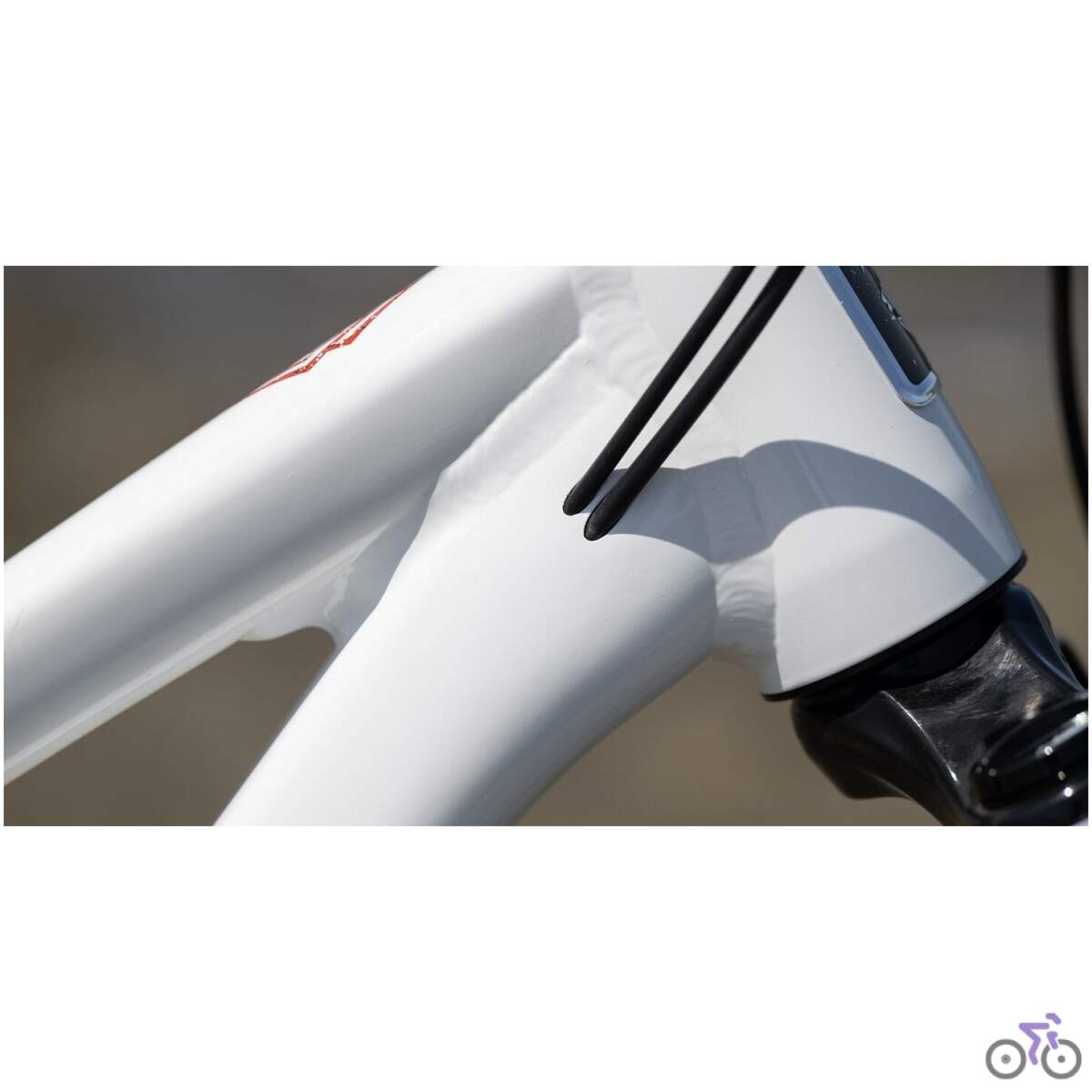 Marin SAN QUENTIN 29" 2 2024
