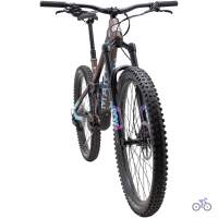 Marin Alpine Trail 1