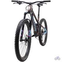 Marin Alpine Trail 1