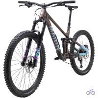 Marin Alpine Trail 1