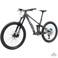 Marin Alpine Trail 1