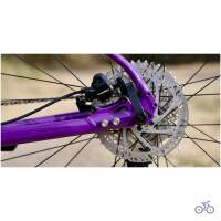 Marin BOBCAT TRAIL 4 2025