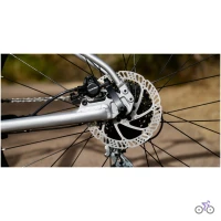 Marin WILDCAT TRAIL 2 2025