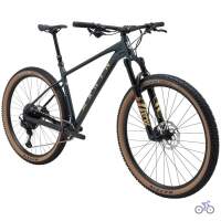 Marin Team Marin 2 2025