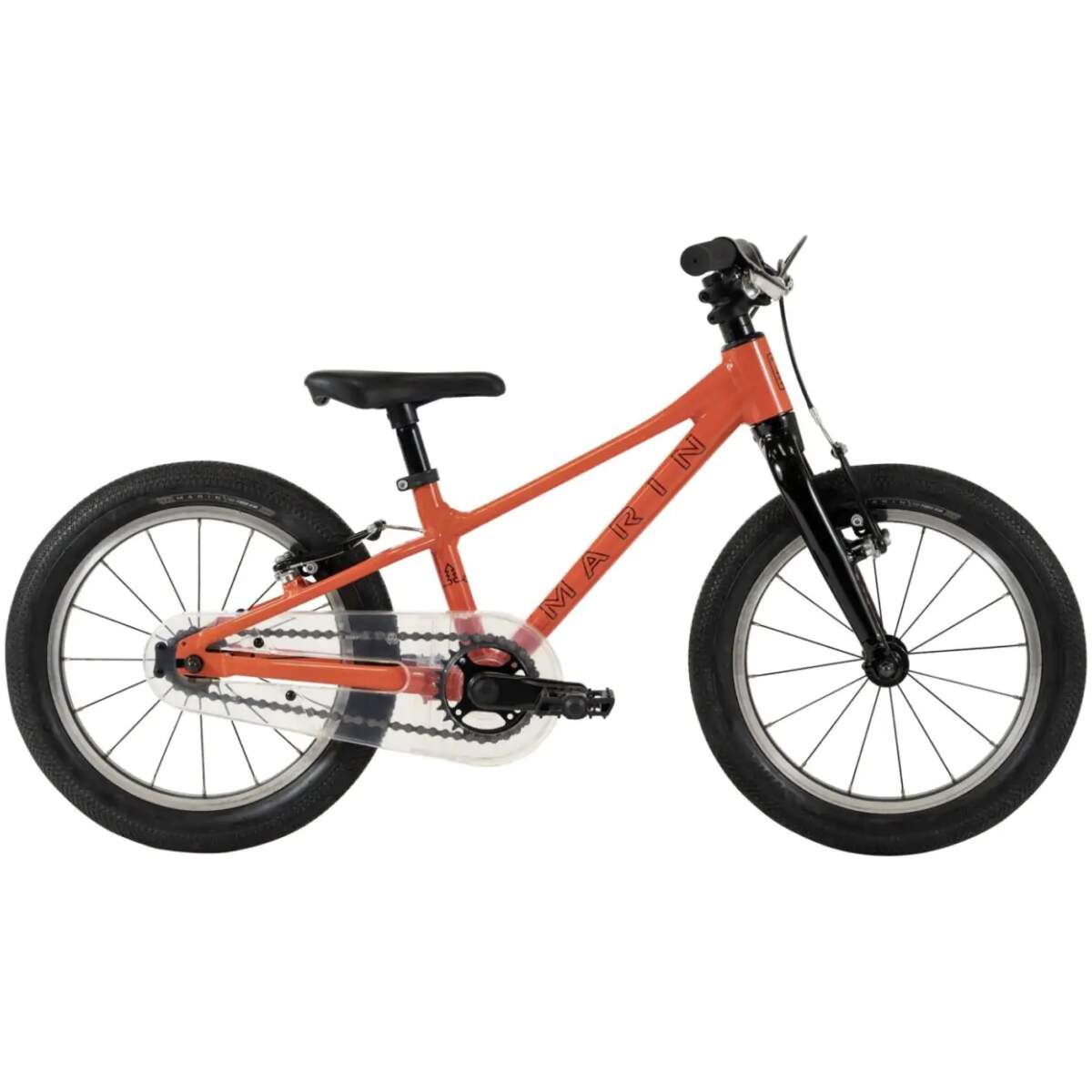Coast Trail 16"