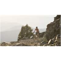 Marin GESTALT X 2024