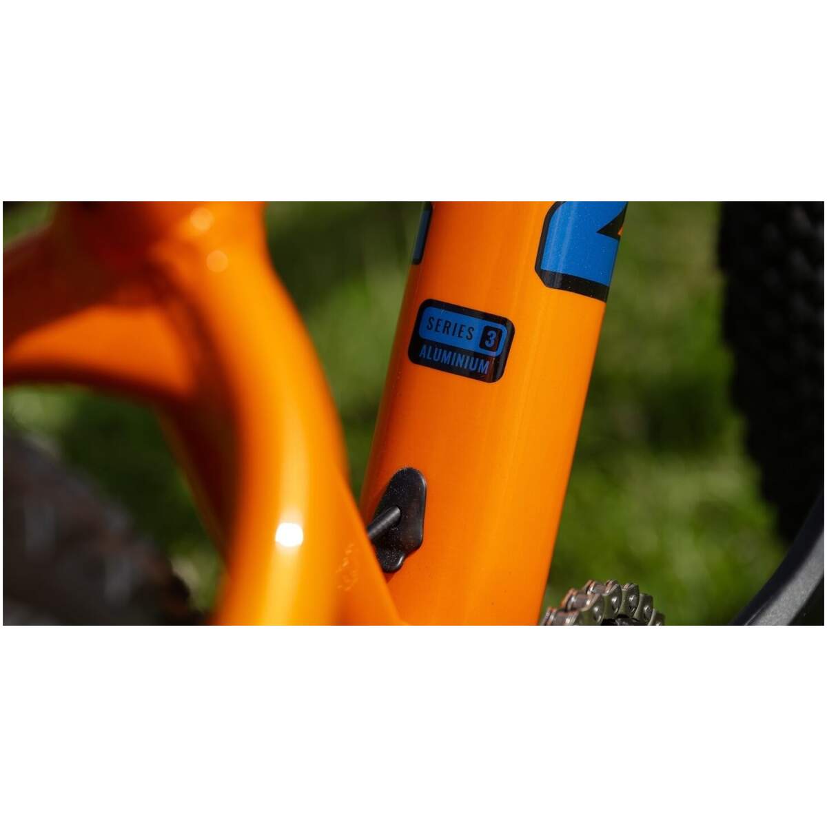 Marin Alcatraz 24'' 2026