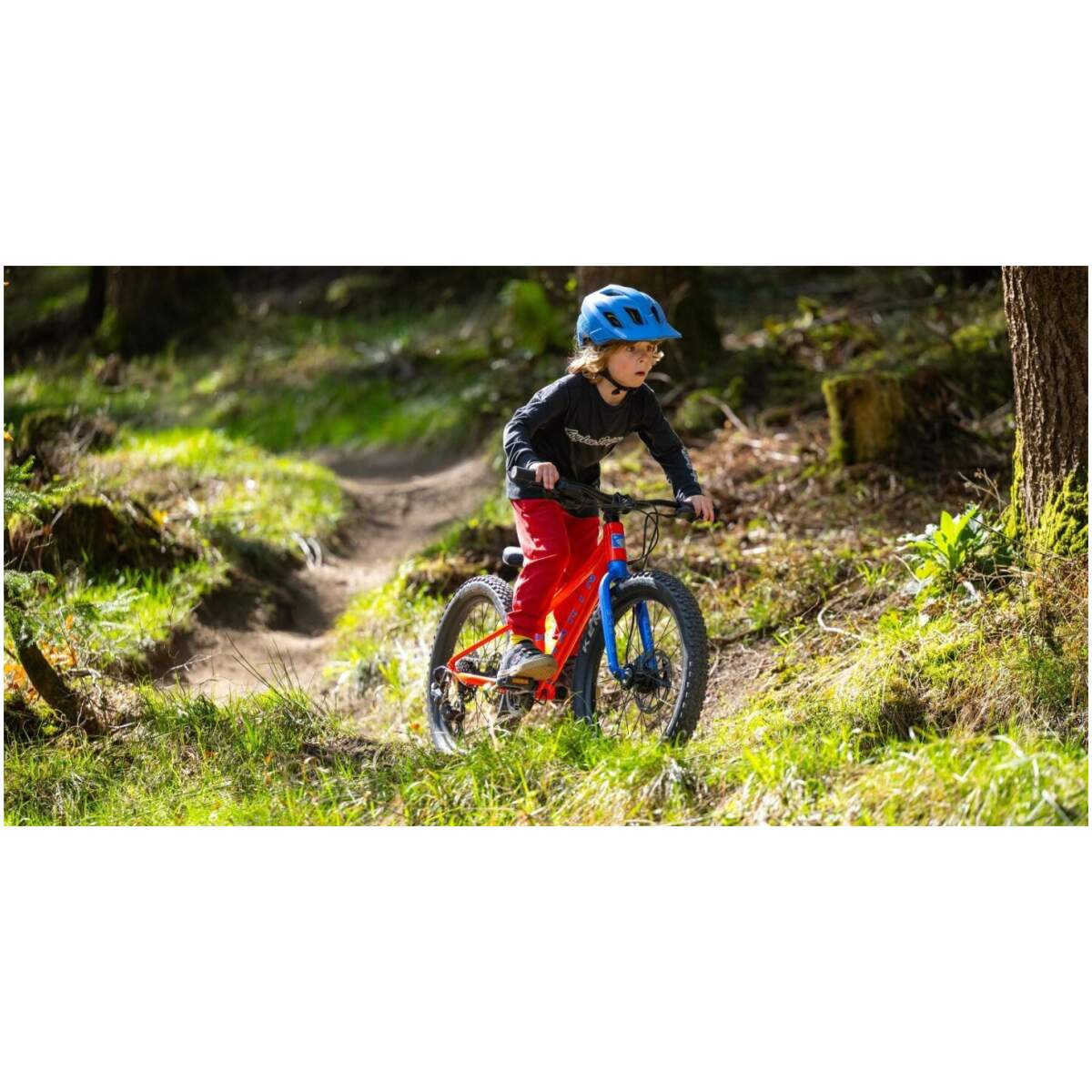 Marin Bear Valley 20"