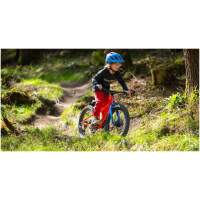 Marin Bear Valley 20