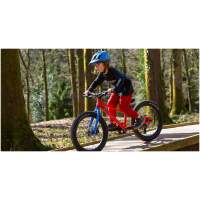 Marin Bear Valley 20