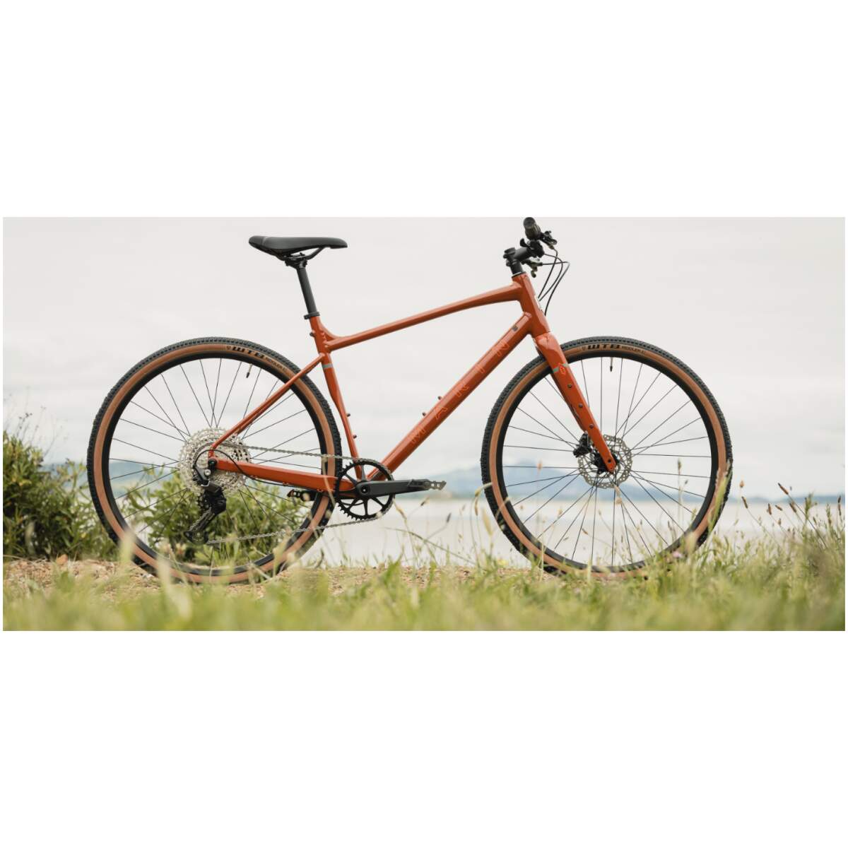 Marin DSX 1 2026