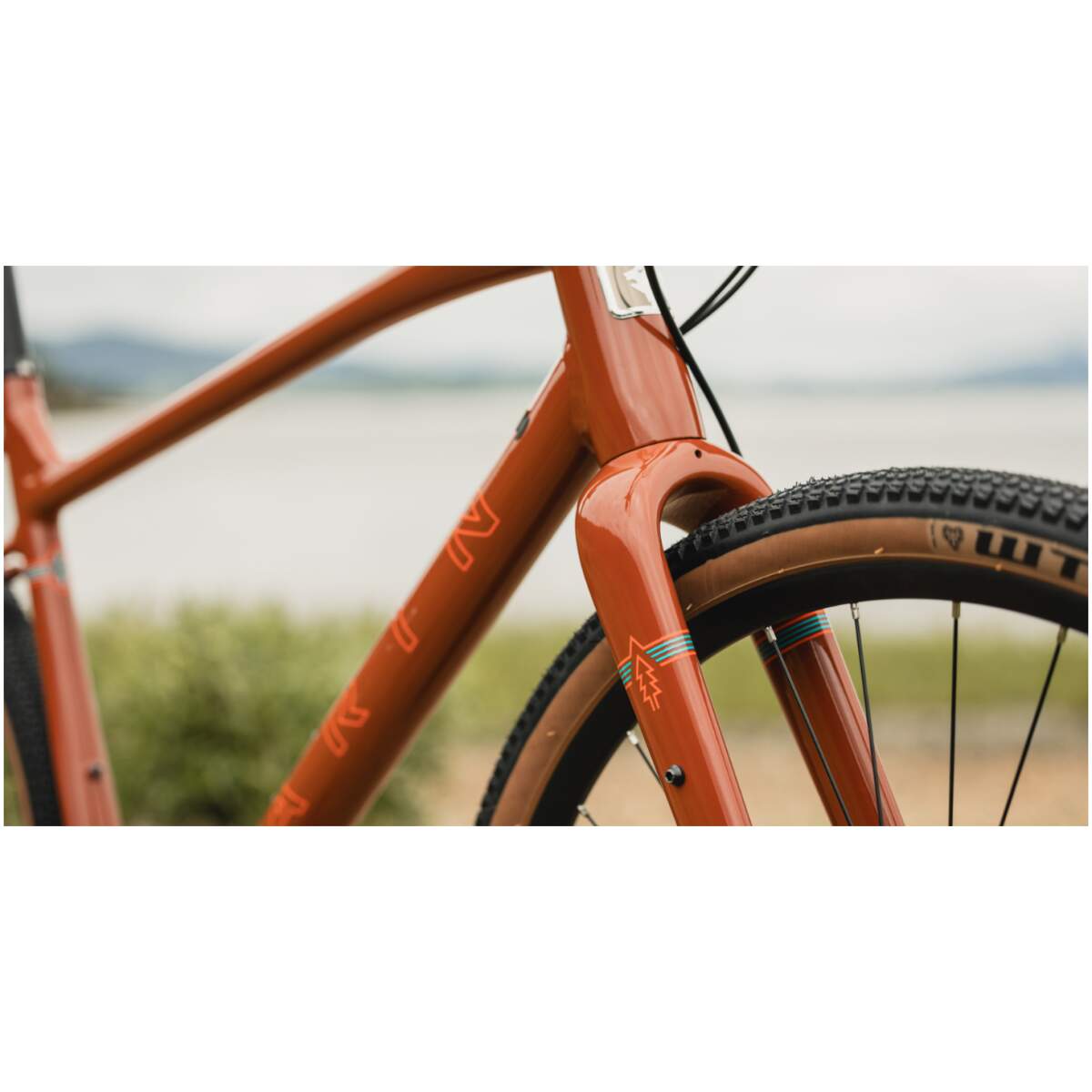 Marin DSX 1 2026