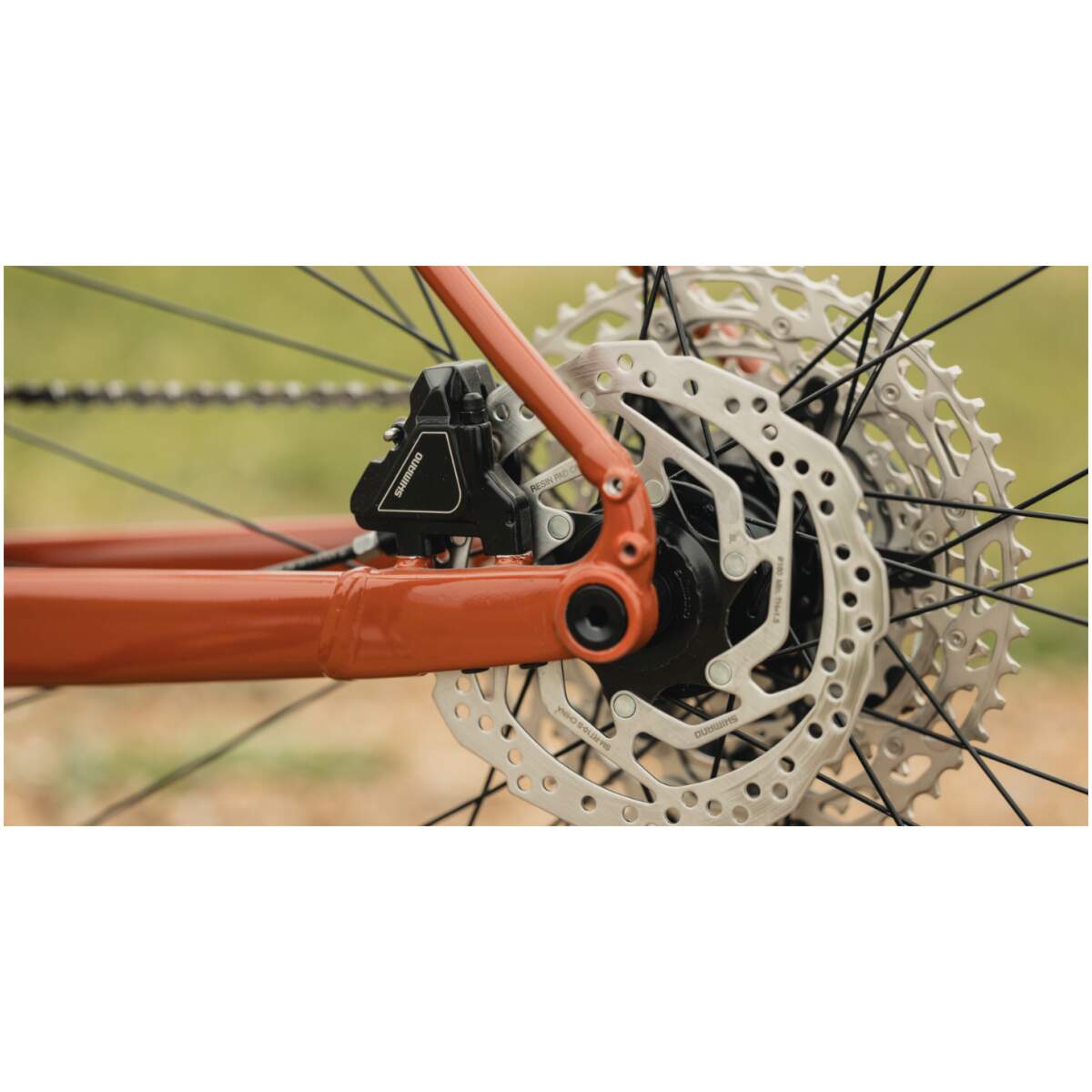 Marin DSX 1 2026